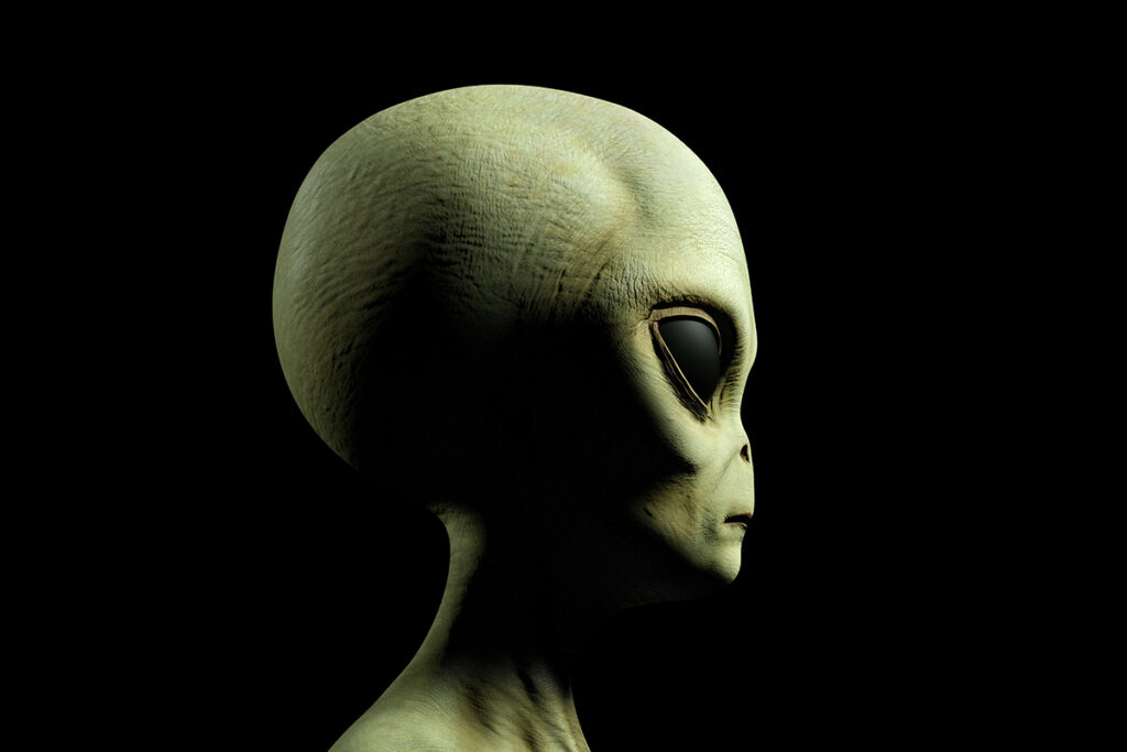 profile of a gray alien's head against black background.