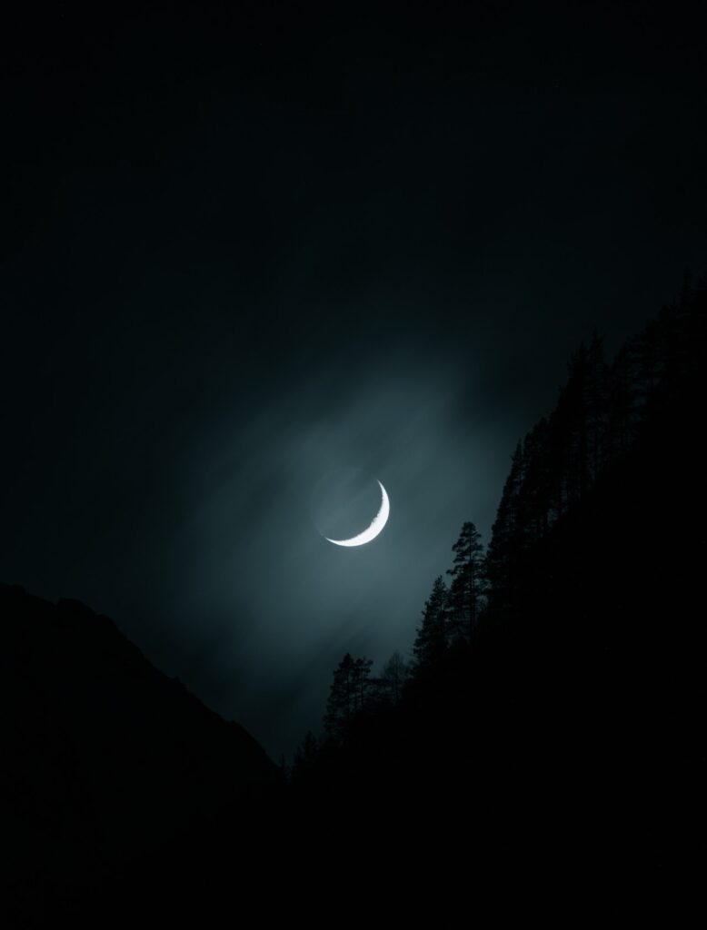crescent moon in a hazy sky above a forest and mountain.
