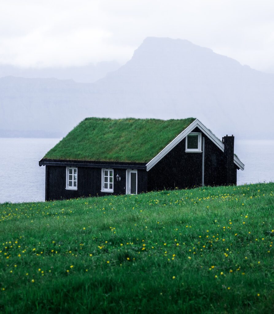 small black house with grass roof with ocean and mountains in the background.
